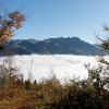 20081026_056